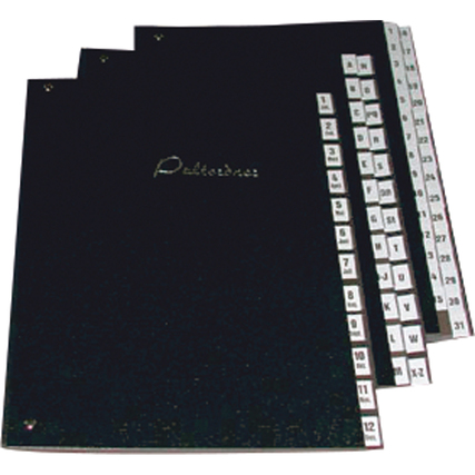 Pultordner Produktbild pa_stellvertreter_1 XL