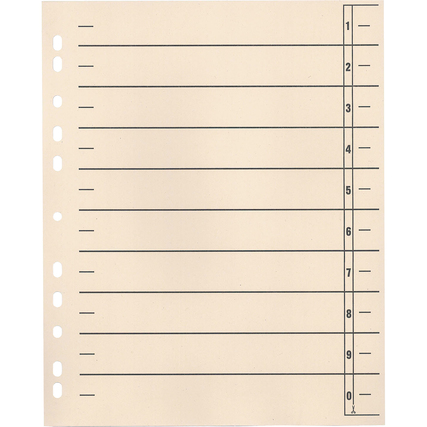 Trennblatt Produktbild pa_stellvertreter_1 XL
