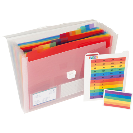 Transparente Fächermappe mit 13 bunten Fächern und Etikettenhaltern für Dokumente.