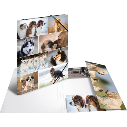 HERMA Sammelmappe DIN A3 Karton mehrfarbig