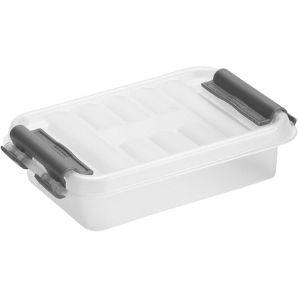 Transparente Aufbewahrungsbox mit Clipdeckel und grauen Griffen, rechteckig und stapelbar.