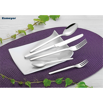 Besteckgarnitur auf weißen Tellern, arrangiert auf einem violetten Tischset mit Pflanzen.