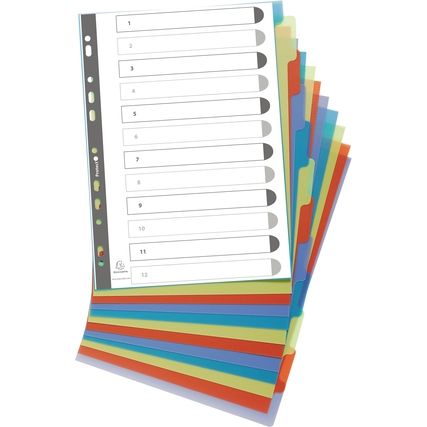 Bunte Ordnerregisterblätter mit bedruckbarer Indexseite und zwölf Registertabs.
