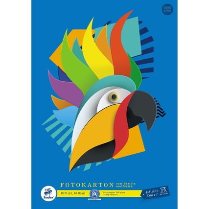 Edition Dürer Fotokarton DIN A3 300g/m² farbig sortiert 10 Bl.