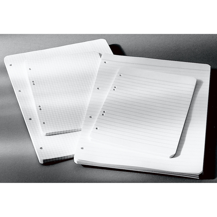 Ringbucheinlage kariert Produktbild pa_stellvertreter_1 XL
