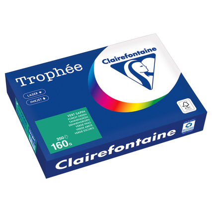 Clairefontaine Kopierpapier Trophée Color DIN A4 160 g/m² 250 Bl./Pack. tannengrün Produktbild pa_produktabbildung_1 XL