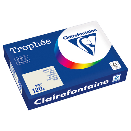 Clairefontaine Kopierpapier Trophée Color DIN A4 120 g/m² 250 Bl./Pack. grau Produktbild pa_produktabbildung_1 XL