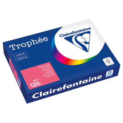 Packung mit 250 Blättern rosa Kopierpapier Trophée Color in DIN A4 und 120 g/m².