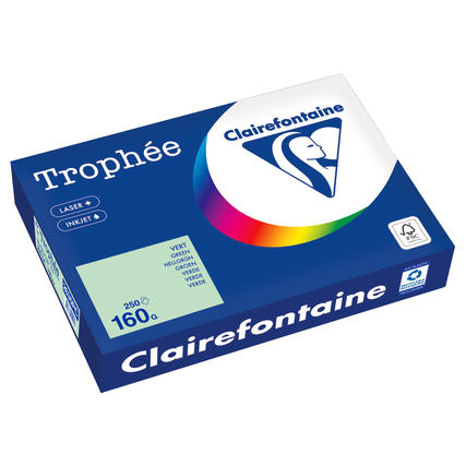 Clairefontaine Kopierpapier Trophée Color DIN A4 160 g/m² 250 Bl./Pack. hellgrün Produktbild pa_produktabbildung_1 XL