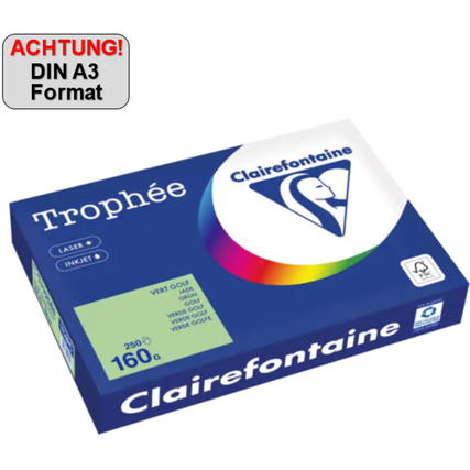 Clairefontaine Kopierpapier Trophée Color DIN A3 160 g/m² 250 Bl./Pack. grün Produktbild pa_produktabbildung_1 XL