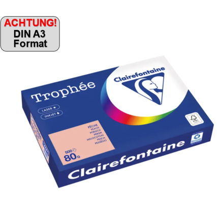Kartonage mit pfirsichfarbenem Kopierpapier Trophée Color im DIN A3 Format und 500 Blatt.