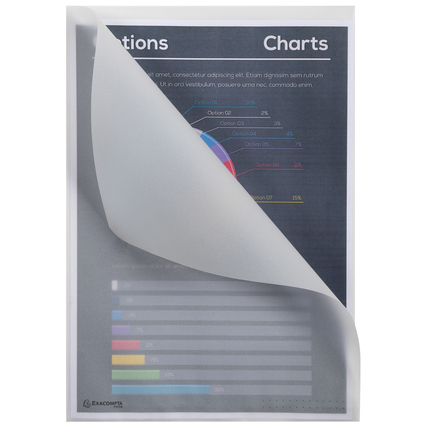 Transparente Sichthülle aus Papier mit Dokumenten darin, zur umweltfreundlichen Aufbewahrung.