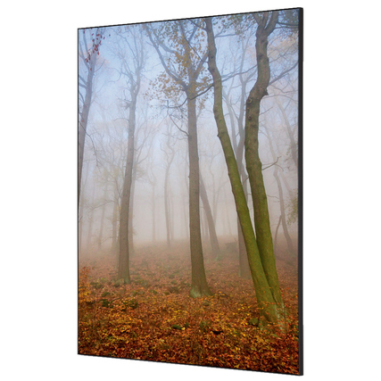 Dekobild mit Herbstnebel-Motiv auf einem Spannstoff-Rahmen in vertikaler Ausrichtung.