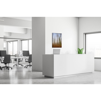 Dekobild in einem modernen Büro mit herbstlichem Waldmotiv an der Wand.
