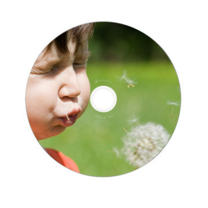 DVD-R Disc mit bedruckbarer Oberfläche und Pusteblume-Motiv im Hintergrund.