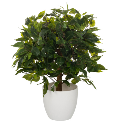 Kunstpflanze Ficus II in weißem Topf mit grünem Blattwerk, stehend auf einem weißen Hintergrund.