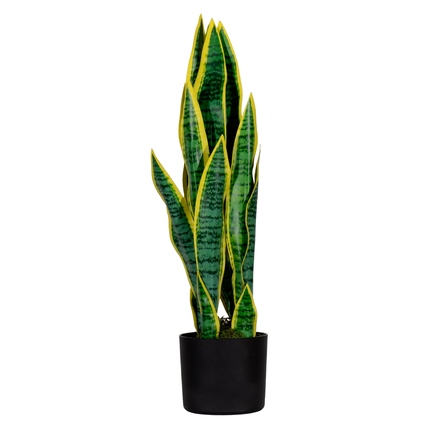 Paperflow Zimmerpflanze meet Sansevieria 65 cm grün Produktbild pa_produktabbildung_1 XL