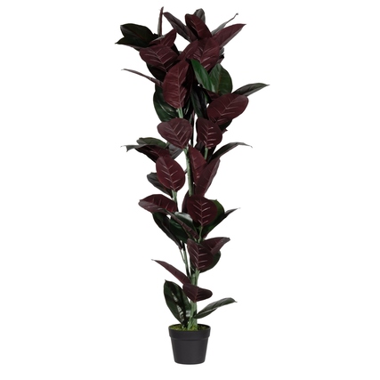 Paperflow Zimmerpflanze meet Gummibaum 120 cm grün/bordeaux Produktbild pa_produktabbildung_1 XL