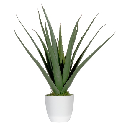 Künstliche Aloe Vera Pflanze in weißem Topf, ca. 45 cm hoch, mit langen, grünen Blättern.