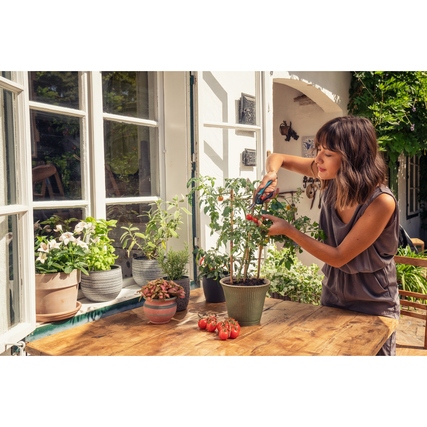 Frau schneidet Tomaten mit einer Gartenschere in einem Gartenambiente am Tisch.