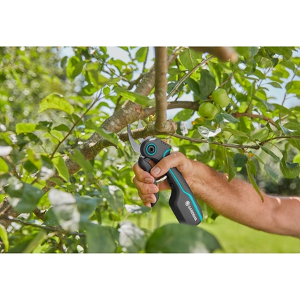 Akku-Gartenschere wird verwendet, um einen Ast in einem Garten zu schneiden.