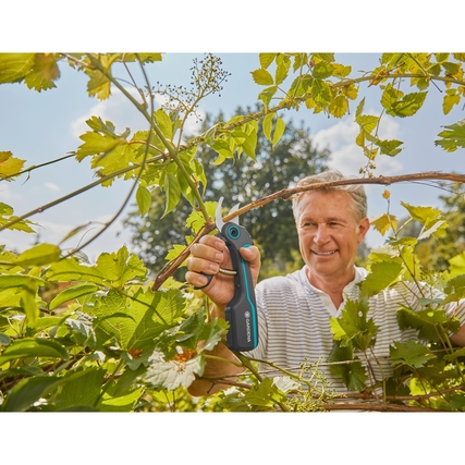 Gartenschere zwischen grünen Zweigen in der Hand eines Mannes während des Schneidens.