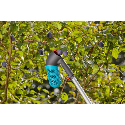 Beerensammler mit langem Griff zum Ernten von Früchten an einem Baum.
