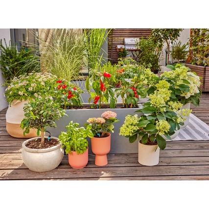 Tropfbewässerungssystem auf einer Terrasse mit bepflanzten Töpfen und verschiedenen Pflanzen.