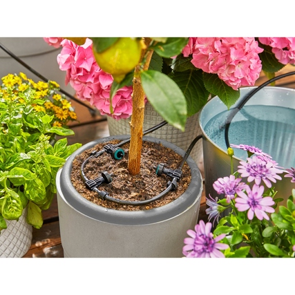 Bewässerungssystem AquaBloom mit Tropfern um einen Baumstamm in einem Blumentopf mit Pflanzen.