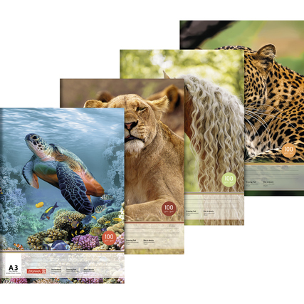 Vier verschiedene Motivblätter eines Zeichenblocks mit Tiermotiven in A3-Größe.