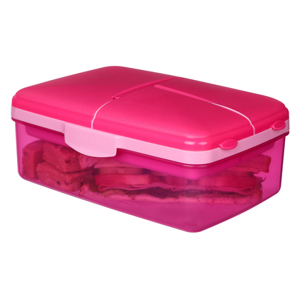 Bunte Lunchbox mit mehreren Fächern, gefüllt mit Sandwiches, im Anwendungsbeispiel.