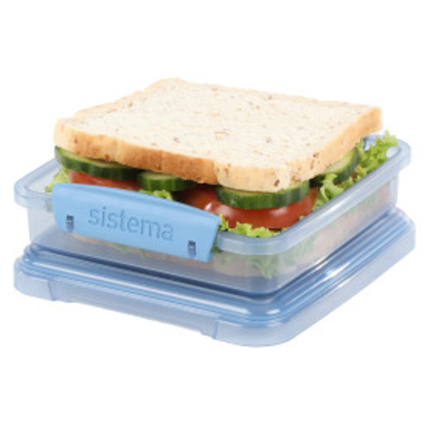 Brotzeitdose mit einem Sandwich und Gemüse in einem transparenten Behälter.