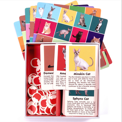 Katzen Bingo Spiel mit Karten, die verschiedene Katzenrassen und deren Eigenschaften zeigen.