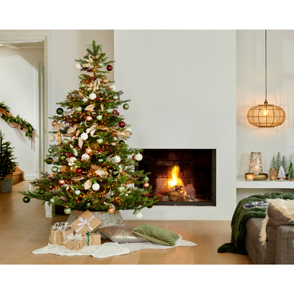 EVERLANDS Weihnachtsbaum Grandis Fir 182 x 300 cm (Ø x H) Produktbild pa_ohnedeko_2 XL