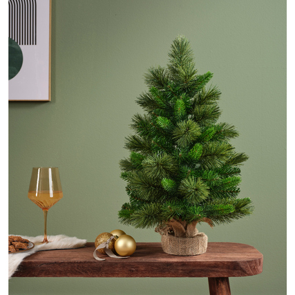 EVERLANDS Weihnachtsbaum Edmonton Spruce Produktbild pa_ohnedeko_1 XL