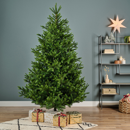 EVERLANDS Weihnachtsbaum Nordmann Tanne 150 x 210 cm (Ø x H) Produktbild pa_ohnedeko_1 XL