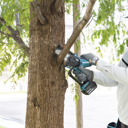Person schneidet mit Akku-Astsäge Äste von einem Baum ab, Säge ist in Aktion.