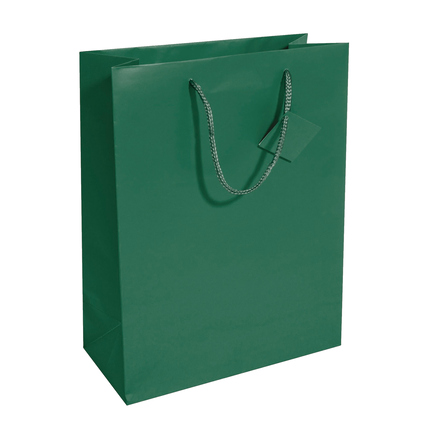 SIGEL Geschenktragetasche 26 x 33 x 12 cm (B x H x T) opalgrün Produktbild pa_produktabbildung_1 XL