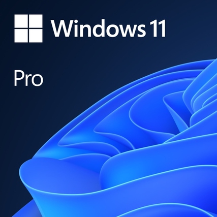Microsoft Software Windows 11 Pro Kauflizenz
