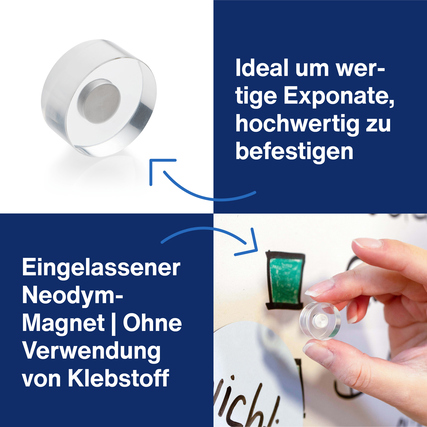 Durchsichtiger Magnet mit Neodym-Magneten für die Befestigung von Exponaten ohne Kleber.