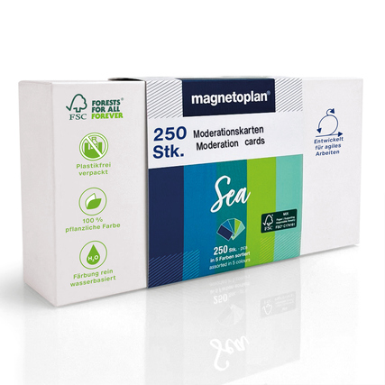 magnetoplan® Moderationskarte Sea 20 x 10 cm (B x H) 120g/m² Papier farbig sortiert 250 St./Pack.