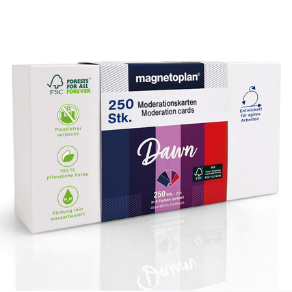 magnetoplan® Moderationskarte Dawn 20 x 10 cm (B x H) 120g/m² Papier farbig sortiert 250 St./Pack.