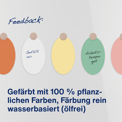 Farbig sortierte ovale Moderationskarten mit Feedbacknotizen an einer Leinwand befestigt.