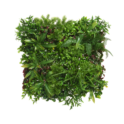 DECORIS Pflanzenbild Zierpflanzen 50 x 50 x 20 cm (B x H x T) Kunststoff schwarz