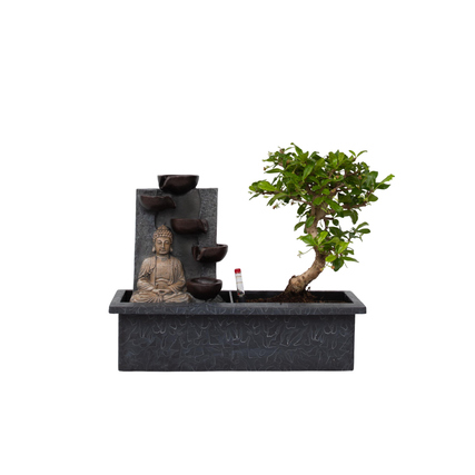 Zimmerpflanze Bonsai Wasserfall Set Buddha