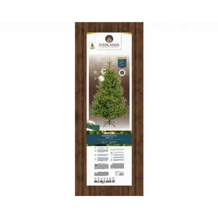 EVERLANDS Weihnachtsbaum Nordmann Tanne mit Beleuchtung 150 x 210 cm (Ø x H) Produktbild pa_produktabbildung_5 XL