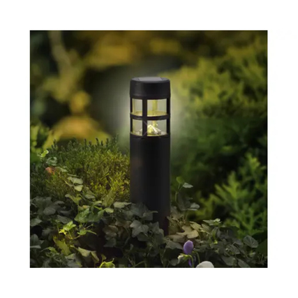 Solarleuchte mit mattschwarzem Gehäuse, auf einem Gartenboden zwischen Pflanzen platziert.