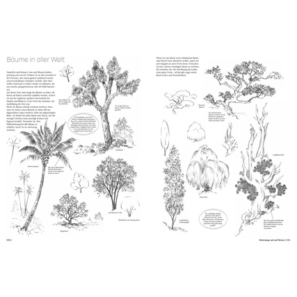 Zwei Seiten eines Zeichenbuchs zeigen Illustrationen und Erklärungen zu verschiedenen Baumarten.
