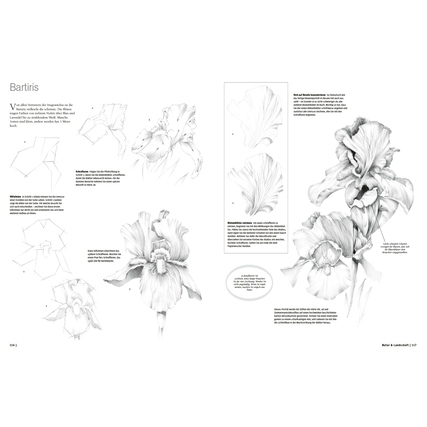 Zwei Seiten aus dem Zeichenbuch zeigen Anleitungen und Skizzen von Blumen.