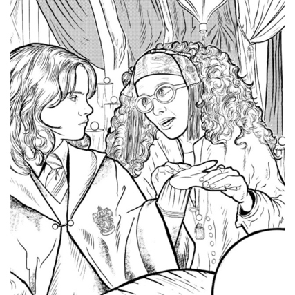 Detailreiche schwarz-weiße Illustration aus dem Harry Potter Ausmalbuch mit zwei Charakteren.